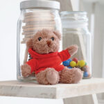 Ours en peluche avec T-shirt à capuche en coton personnalisé