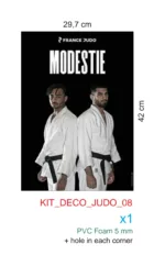 Lot 8 affiches du code moral – Image 5