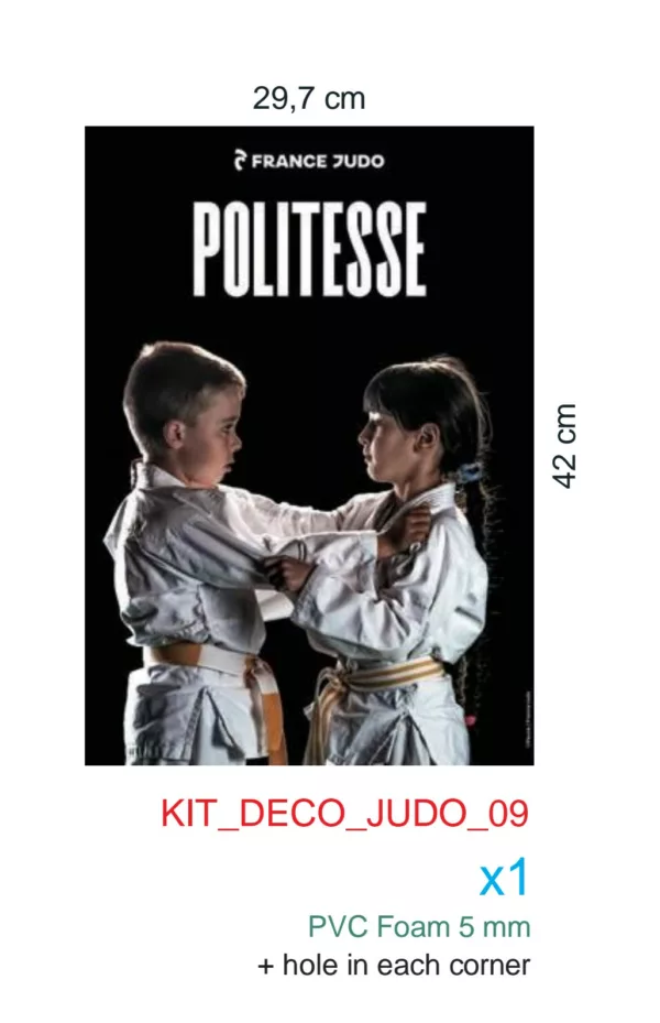 Lot 8 affiches du code moral – Image 4